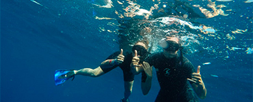 Whale Shark Tour from Cancun